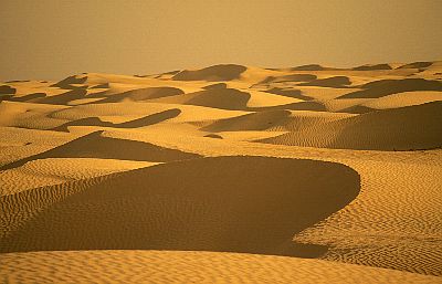 [Image: 27-tunesien_wueste_sahara_sandduenen__abendlicht.jpg]