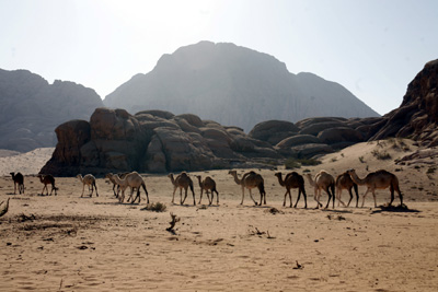 WADI RUM KAMEL